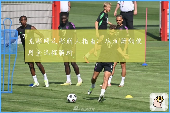 竞彩网足彩新人指南：从注册到使用全流程解析