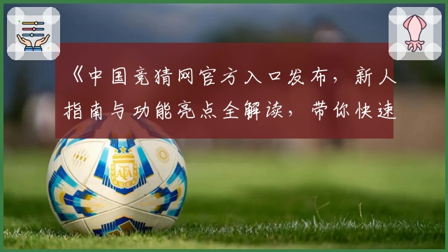 《中国竞猜网官方入口发布，新人指南与功能亮点全解读，带你快速上手》