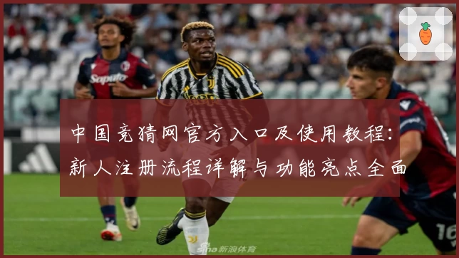 中国竞猜网官方入口及使用教程：新人注册流程详解与功能亮点全面解析